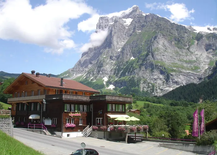 Golf hotel: Hotel Alpenblick