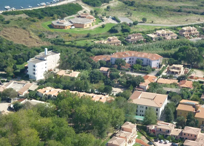  Scintilla