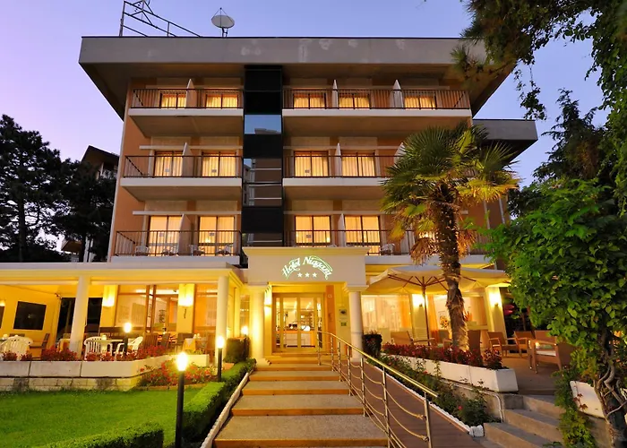 Hotel adatto agli animali: Hotel Niagara