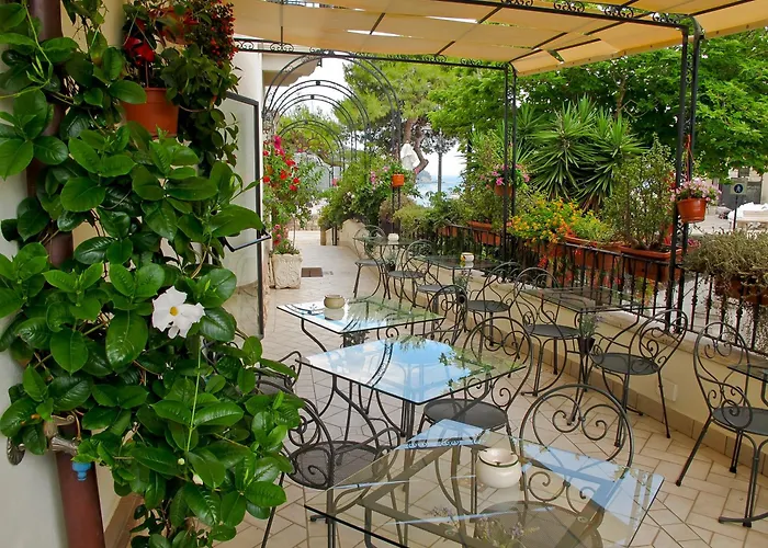 Hotel adatto agli animali: Hotel Corallo