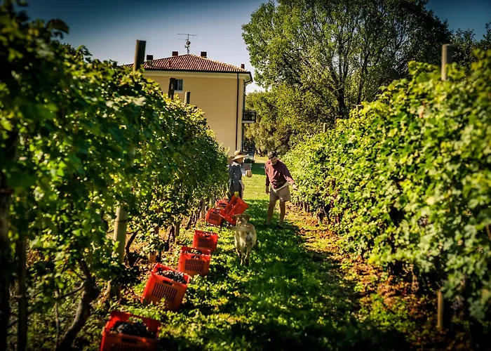 Casa vacanza: Agriturismo Olistico Atman
