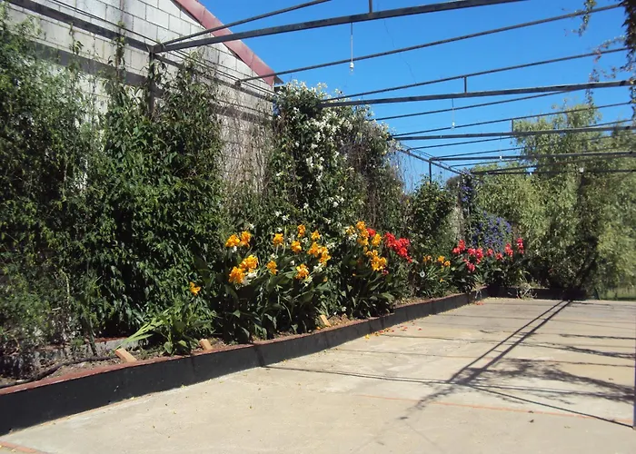 Hotel barato: El Aceitón