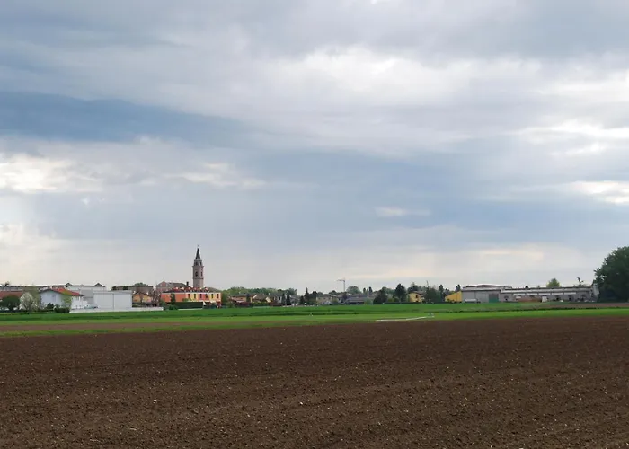  AgriSesto