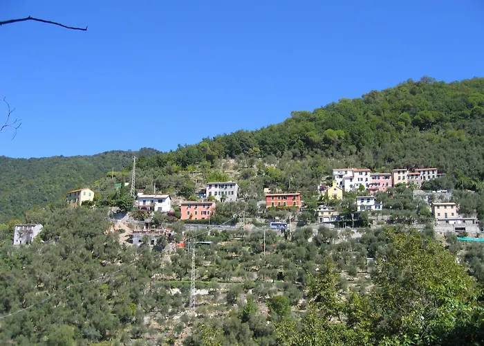  Cerisola 2003