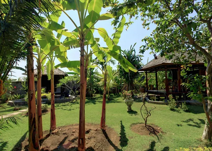 Sawah Lovina