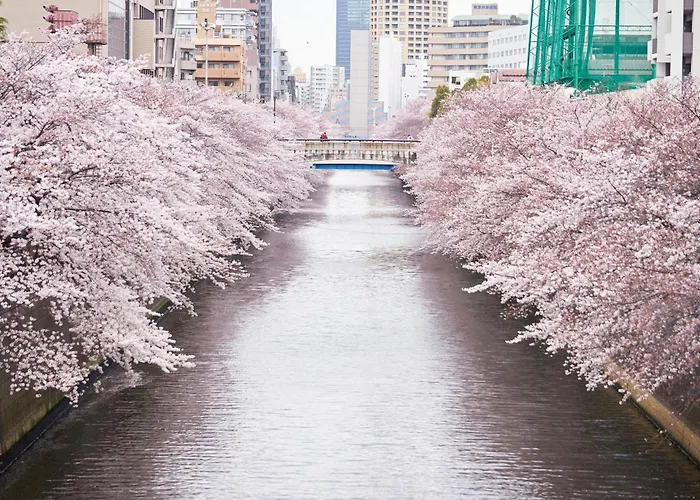 Boutique hotel only: Hotel Gajoen Tokyo