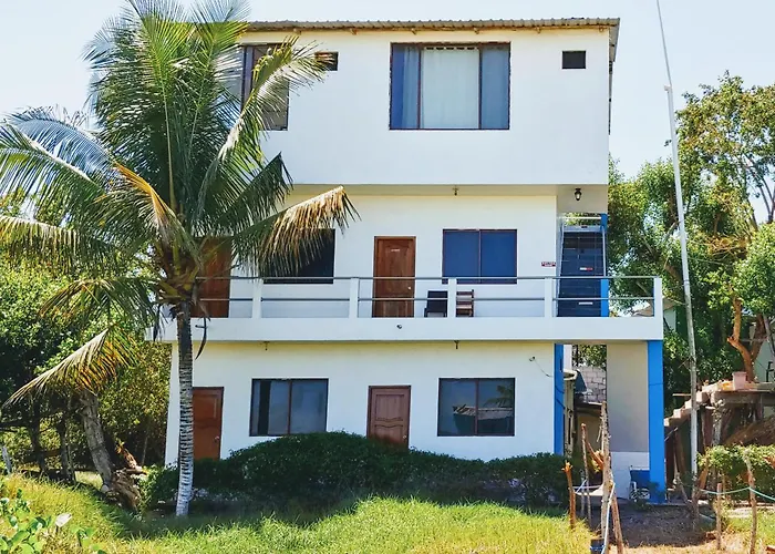 Cheap hotel: Hotel La Jungla