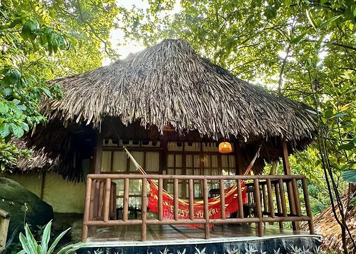 Perros hoteles Eco Yuluka