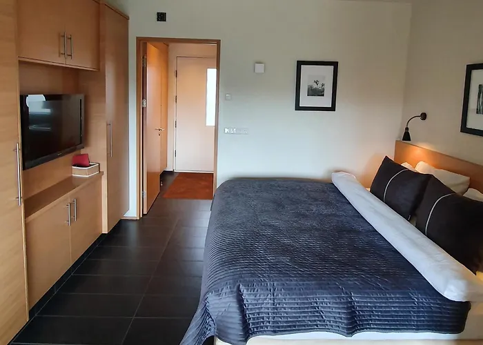 Vacation rental: Saeluhus Apartments & Houses