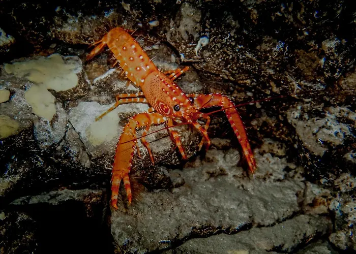 Centraal gelegen hotel: Atlantic Apartments