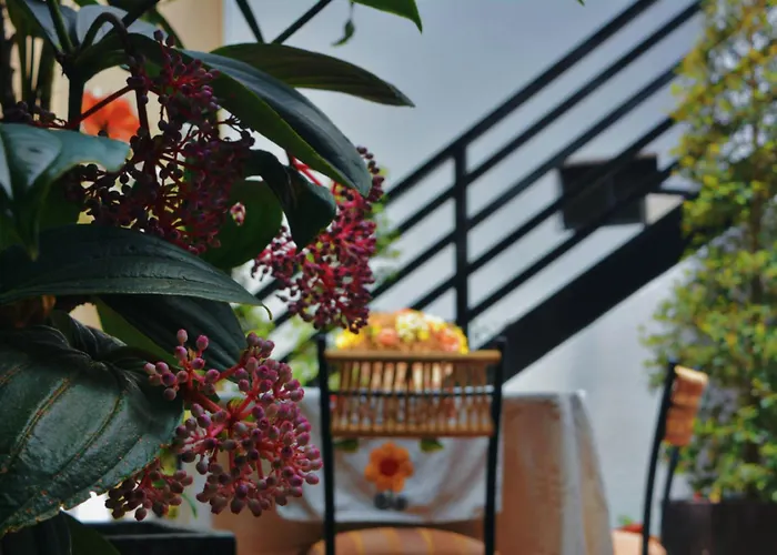B&B: Hotel La Farola