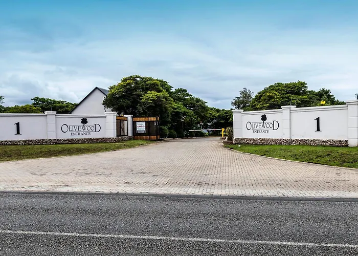Luxury hotel only: Hotel Olivewood