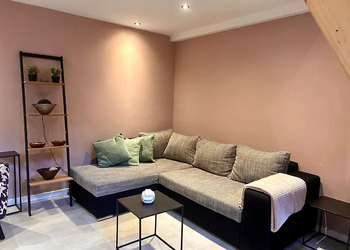 Centraal gelegen hotel: B&B In de aap gelogeerd