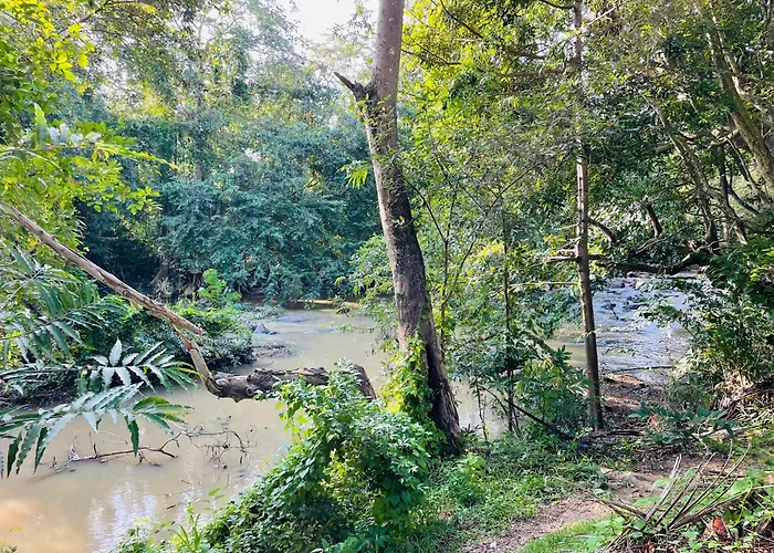 Yala Safari River View Hotel