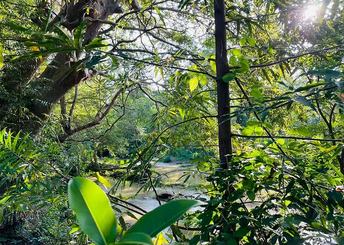 Yala Safari River View Hotel