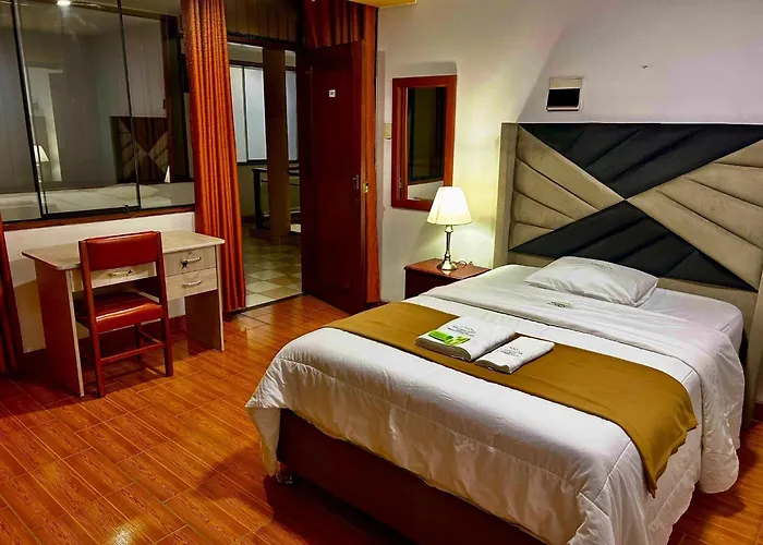 Hotel Los Andes Suite