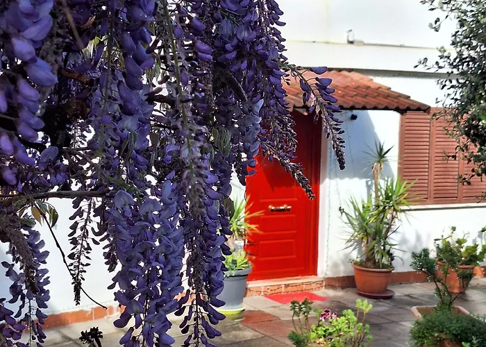 Giallo Limone
