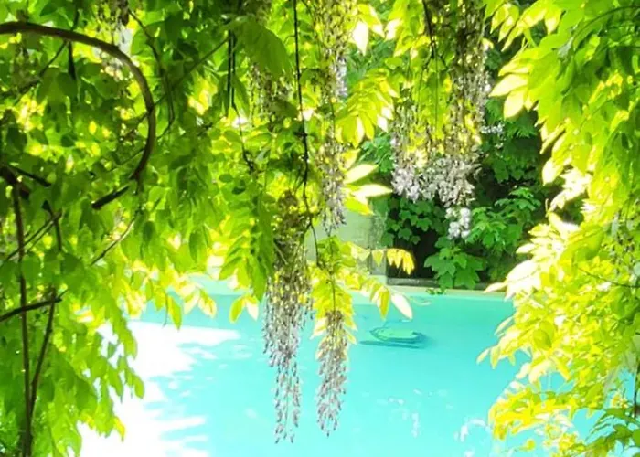 Secret Garden