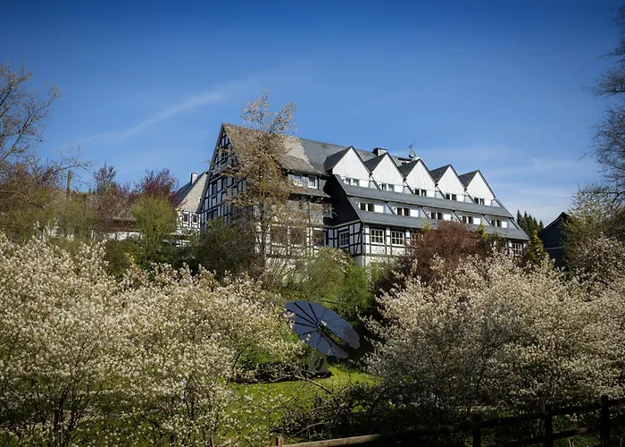 Huisdiervriendelijk hotel: Hotel & Gasthof Hubertushoehe - Ihr Hotel Fuer Urlaub Mit Hund