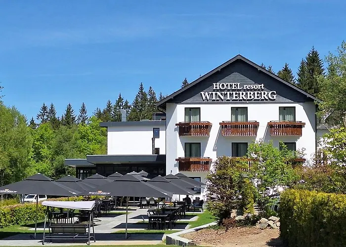 Huisdiervriendelijk hotel: Hotel Winterberg Resort