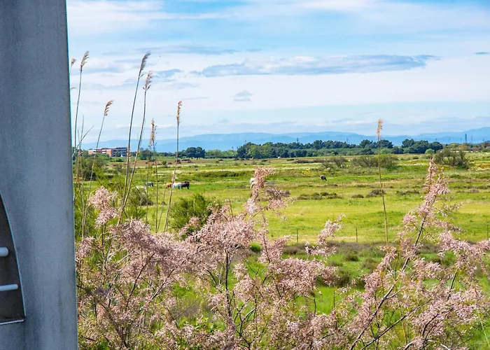 Pet Friendly hotel: Residence Hoteliere Natureva & Spa