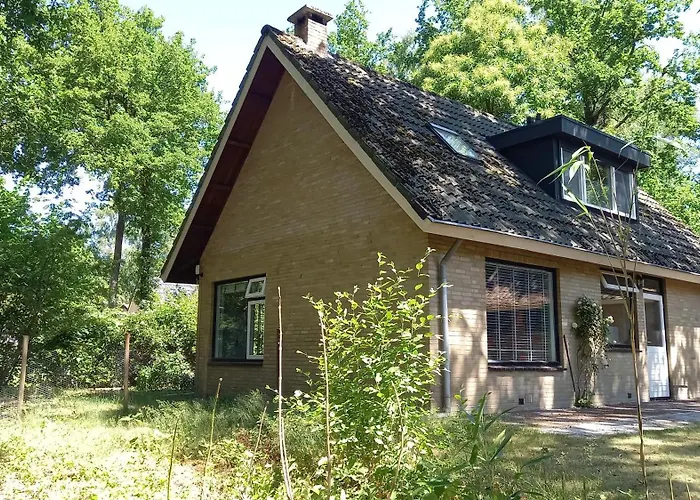 Heerlijk Huisje In Het Vechtdal Tussen De Bossen En De Vecht..