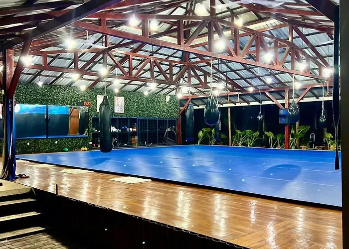 Hotel with view: Jungles Edge Hotel, Jiu Jitsu, Muay Thai Retreat Center