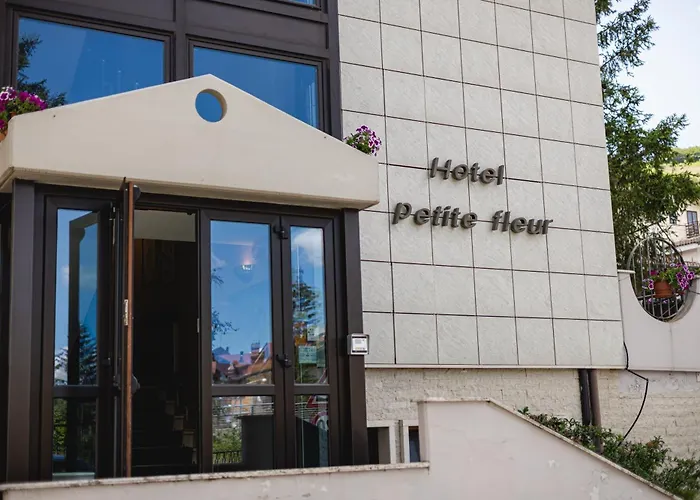 Hotel adatto agli animali: Hotel Petite Fleur