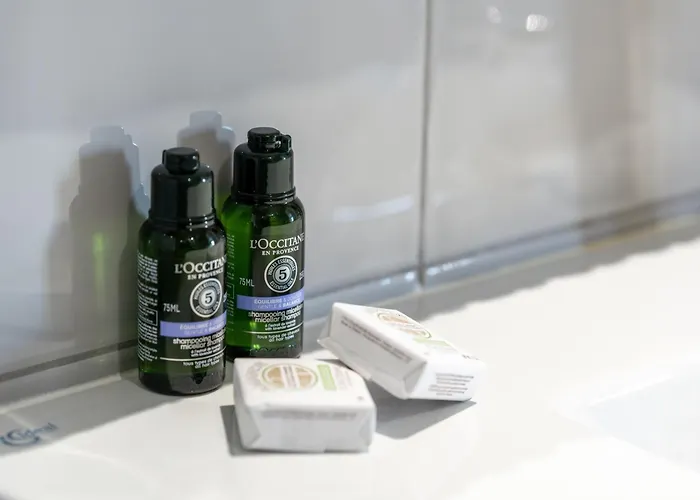 Airport Hotel: Hotel La Villa Nice Victor Hugo