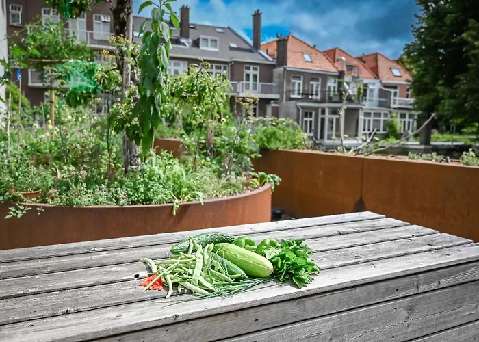 Court Garden Hotel