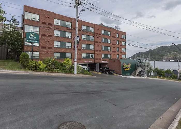 Pet Friendly hotel: Doubletree By Hilton St. John'S Harbourview
