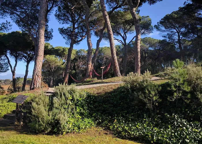Hotel familiar: Augusta Barcelona Valles