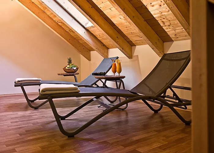 Dog friendly hotels Sorat Insel- Regensburg