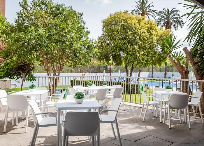 Animaux admis Medium Valencia