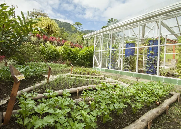 Villa: Arenal Waterfall Lodge Villas