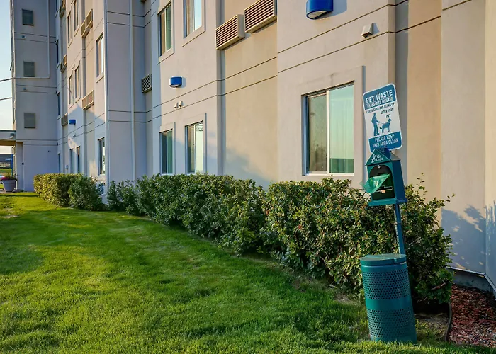 Dog friendly hotels Motel 6-Grande Prairie, Ab