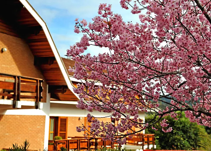 Hotel barato: Hotel Matsubara