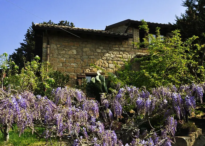 La Casa Sulla Collina D'Oro