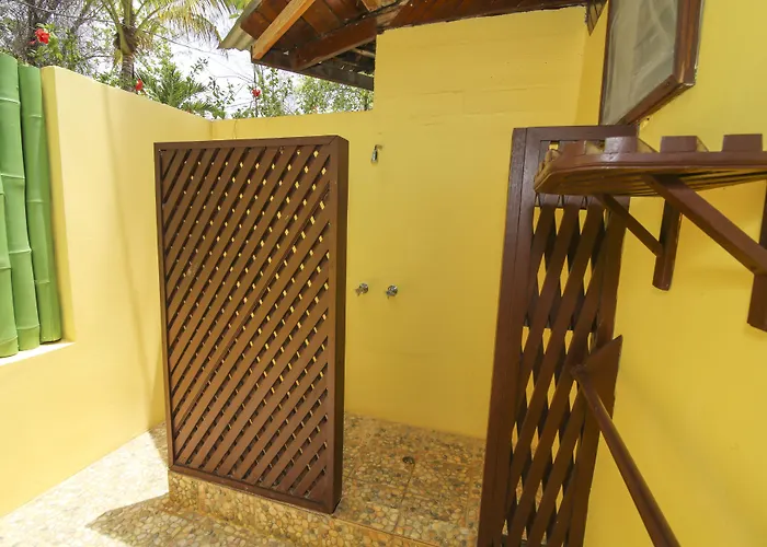 Family Hotel: Catcha Falling Star