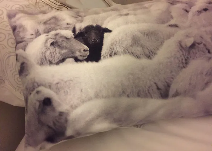 Huisdiervriendelijk hotel: Restaurant&Guesthouse Cachet de Cire