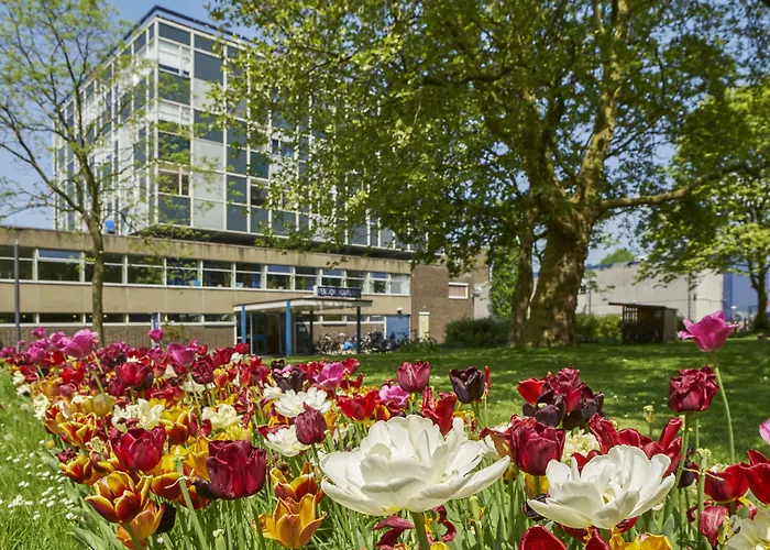 Hotel Ping Pong: Pension Homeland