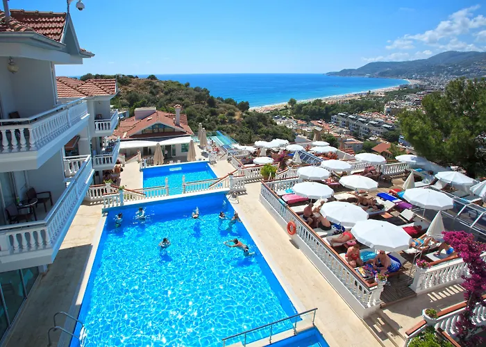 Sunny Hill Alya