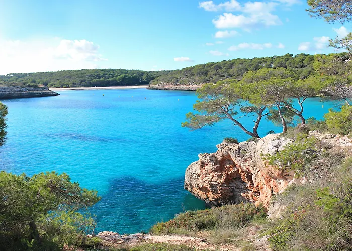 B&B: Hostal San Francisco