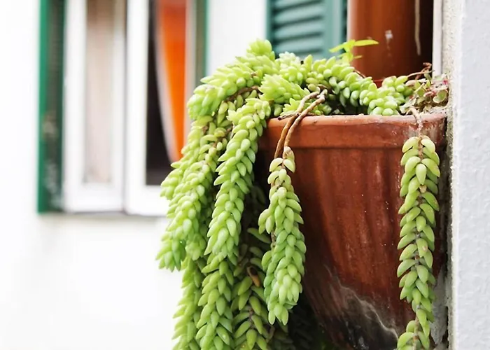 Hotel familiare: Terrazza dei Principi