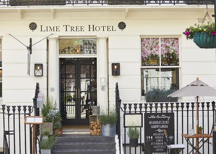 Room Mate Lime Tree