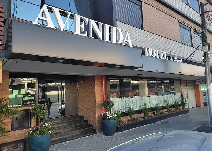 Hotel que aceita animais de estimação: Avenida Hotel De Resende