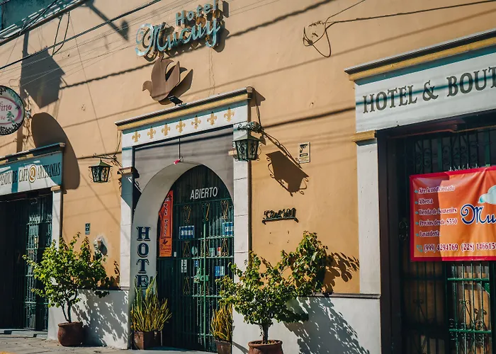 Hotel que admite mascotas: Hotel Mucuy