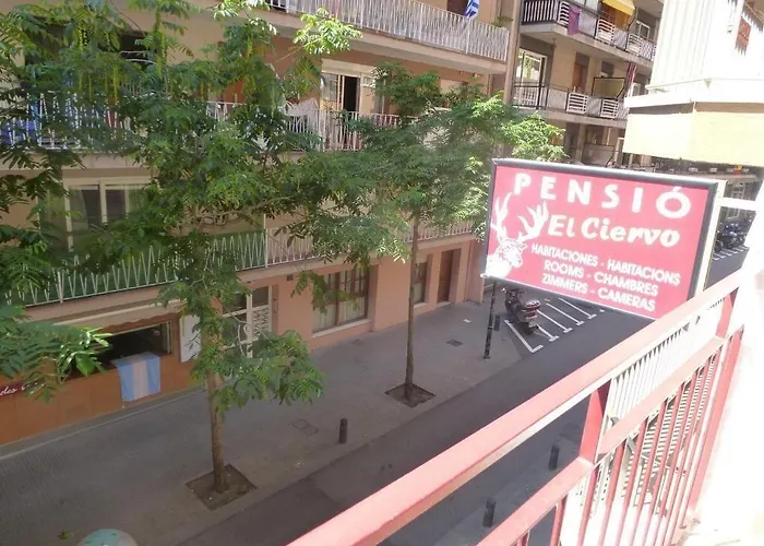 Pension El Ciervo