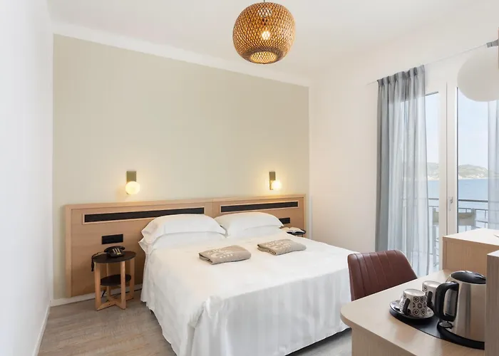 Hotel adatto agli animali: Hotel Arc En Ciel