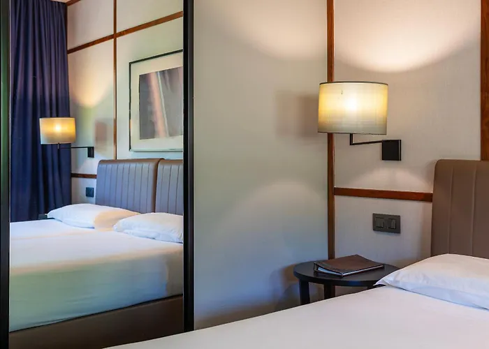 Hotel que aceita animais de estimação: Hotel De Guimaraes Business & Spa